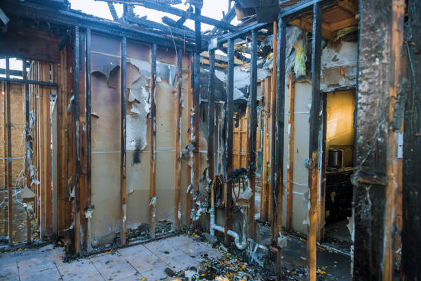 Professional Soot Removal technician working in Pipersville, PA